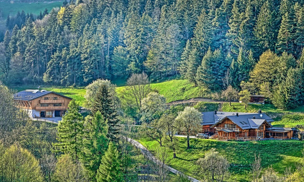 Zeidelhof Villa Lilienfeld Екстериор снимка