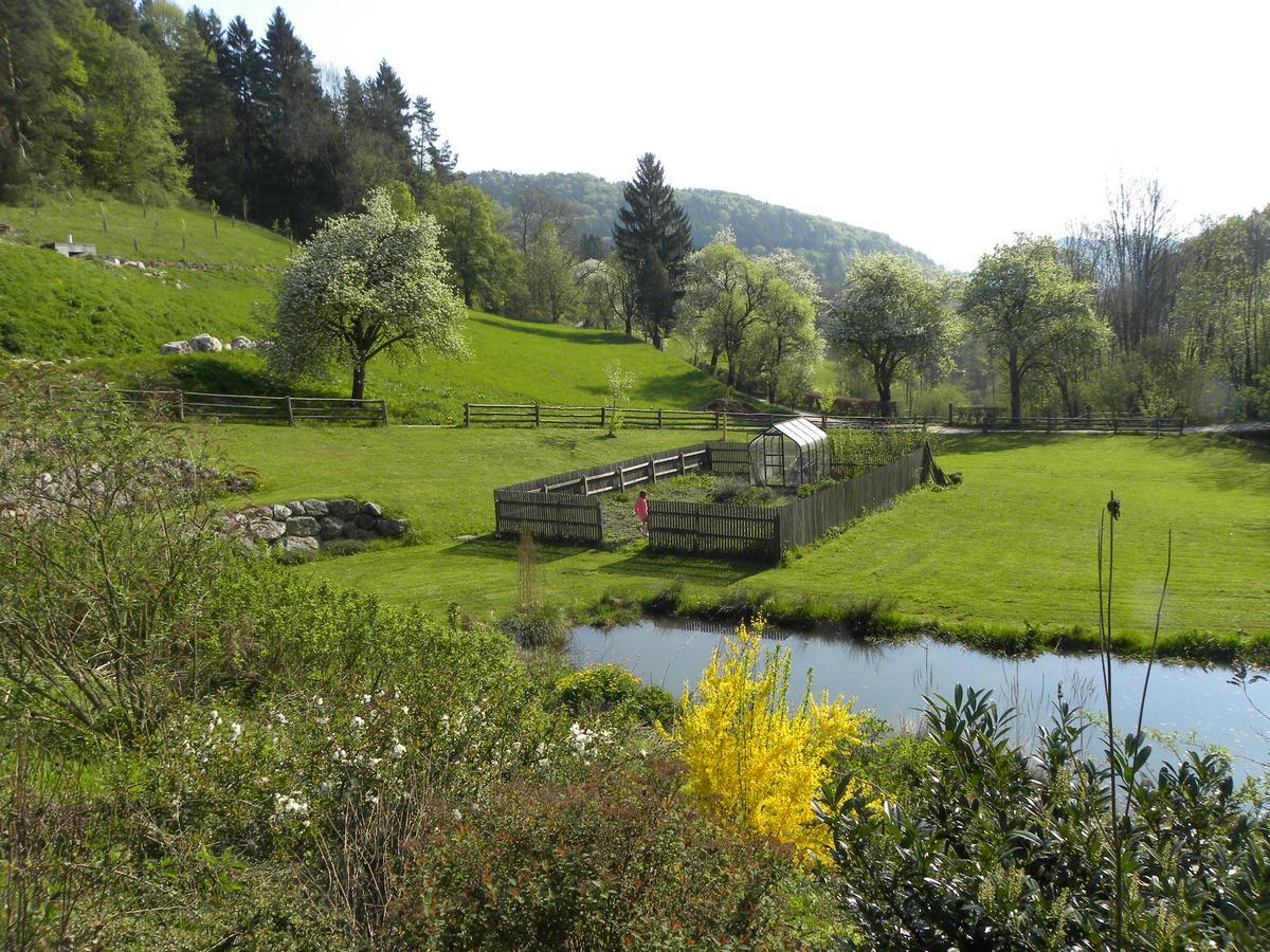 Zeidelhof Villa Lilienfeld Екстериор снимка